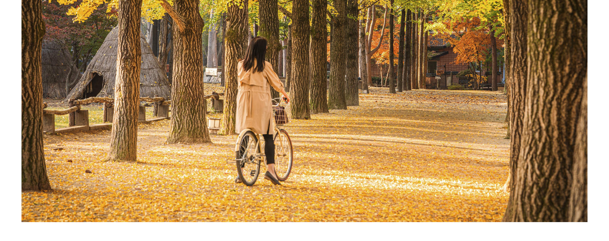 [클룩 단독] 남이섬 왕복 셔틀버스